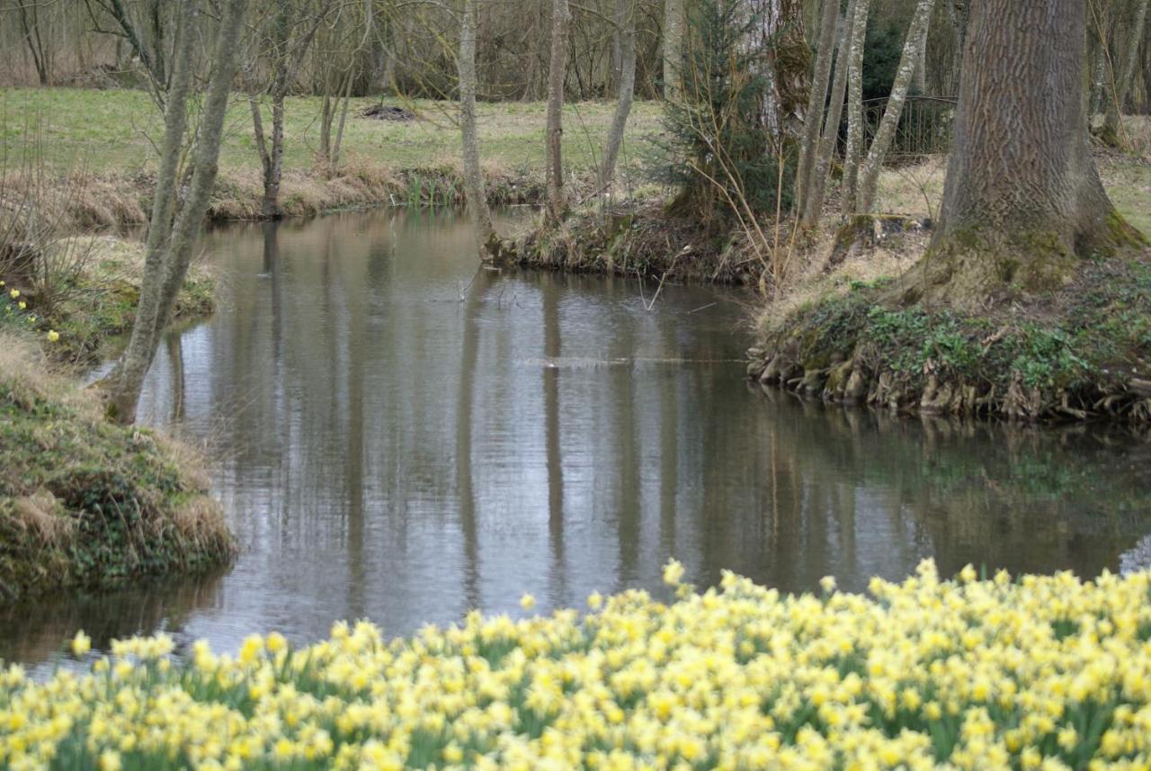 Le Parc Des Aubiers Panzió Brion  Kültér fotó